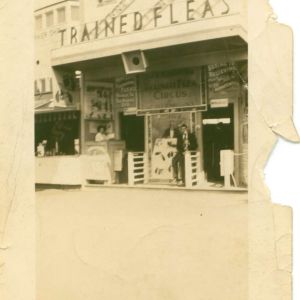 freehecklerflea20circus202