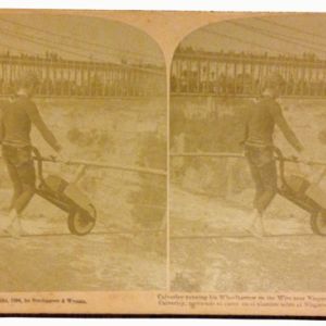 cavelerey-wire-walker-3d-100