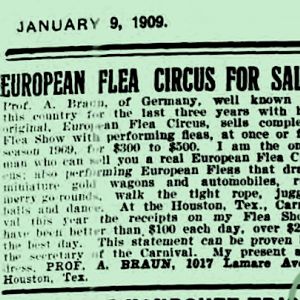 1909profbraunfleacircus