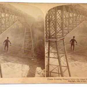 dixon-wire-walker-100