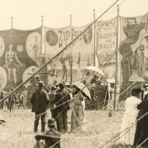 free-zip_bannerline