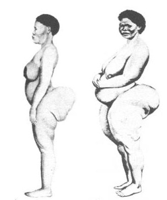 hottentot