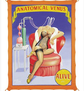 Johnny Meah Print-ANATOMICAL VENUS