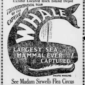 madamsirwell1935-2220